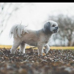 Meet your Posher, Rhonda